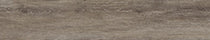 9025 Icelandic Oak