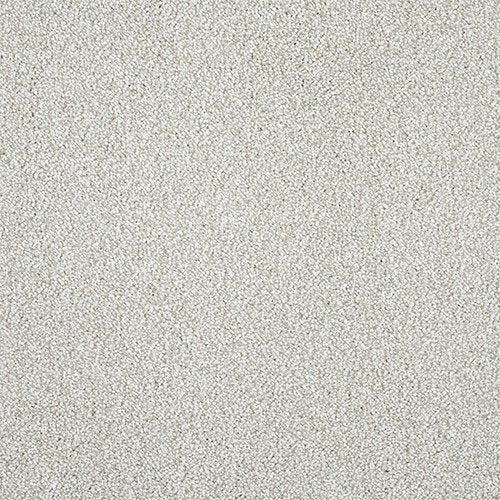 Stainfree Affection | 11 Colour Options