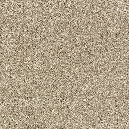 Stainfree Olympus | 12 Colour Options