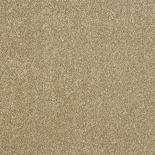 Stainfree Aristocat | 17 Colour Options