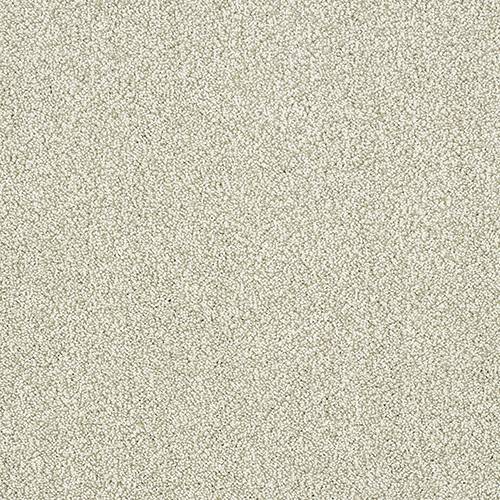 Stainfree Aristocat | 17 Colour Options