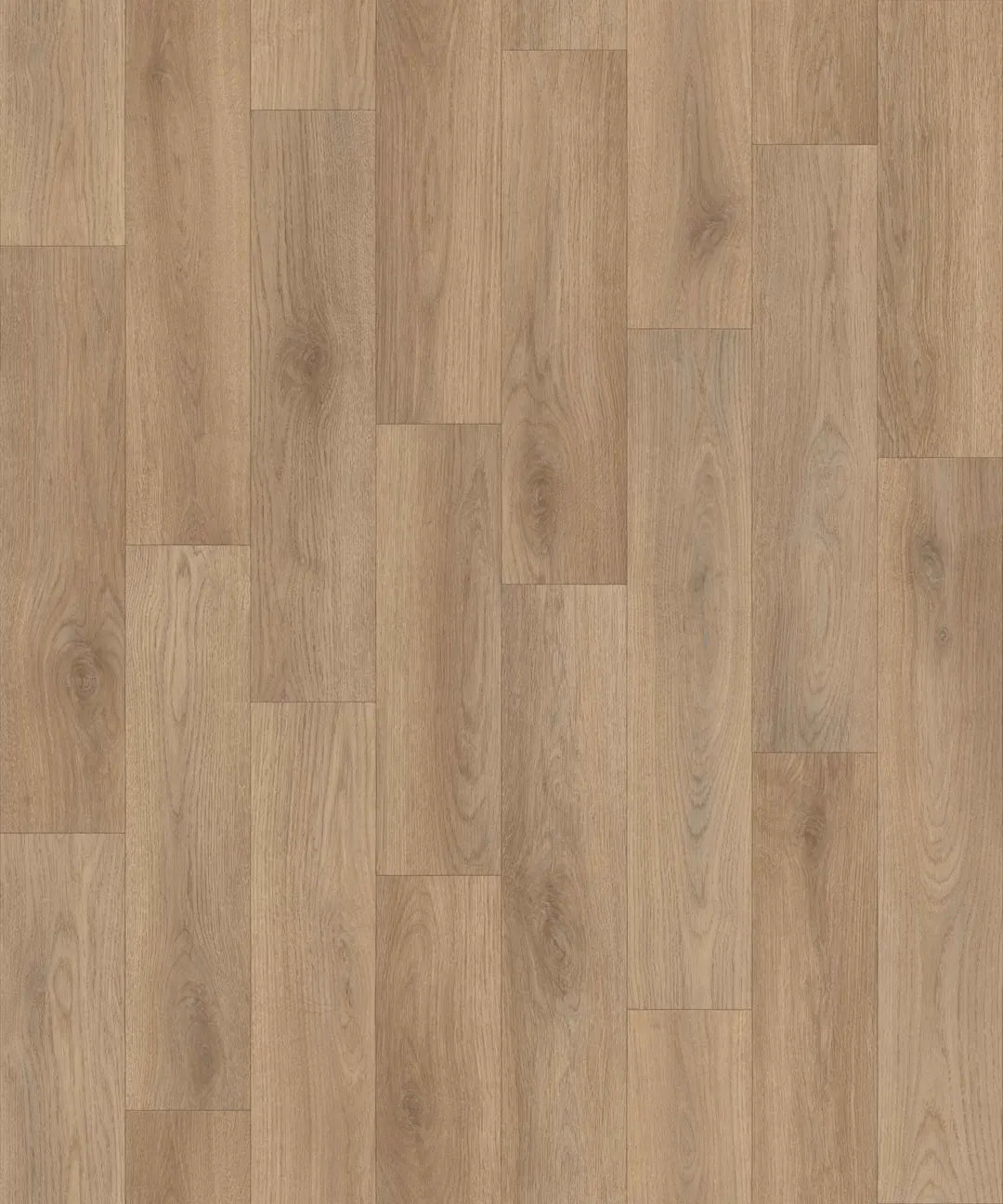 Bonita | 15 Options Available
