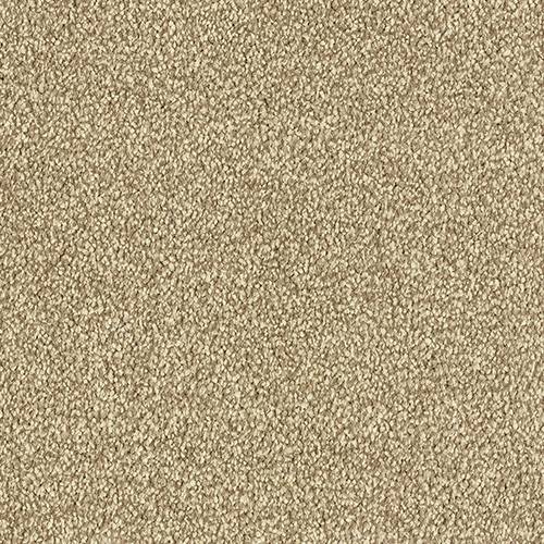 Stainfree Maximus | 16 Colour Options