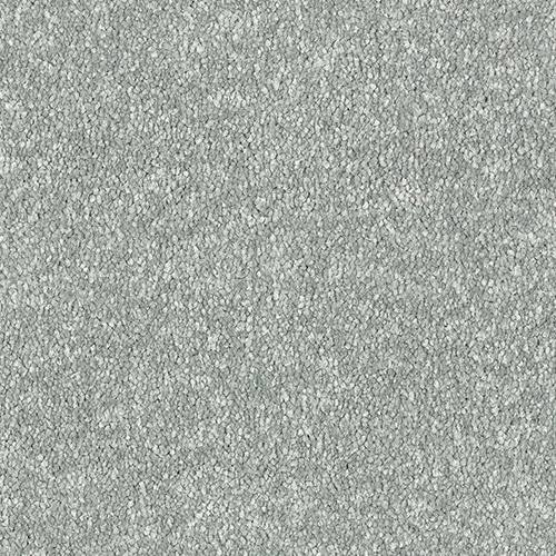 Stainfree Maximus | 16 Colour Options