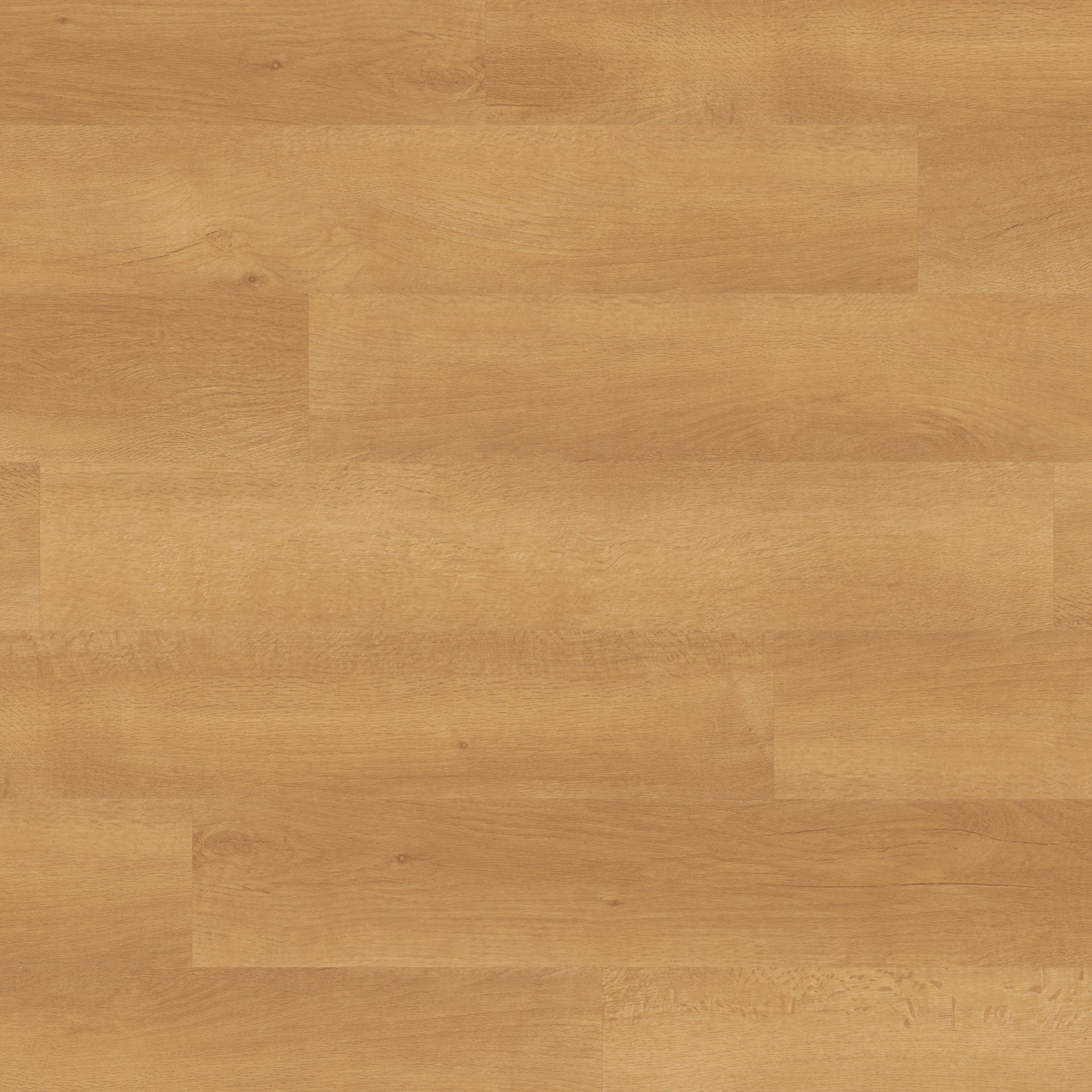 Cera WP314 Plank Gluedown - Timber