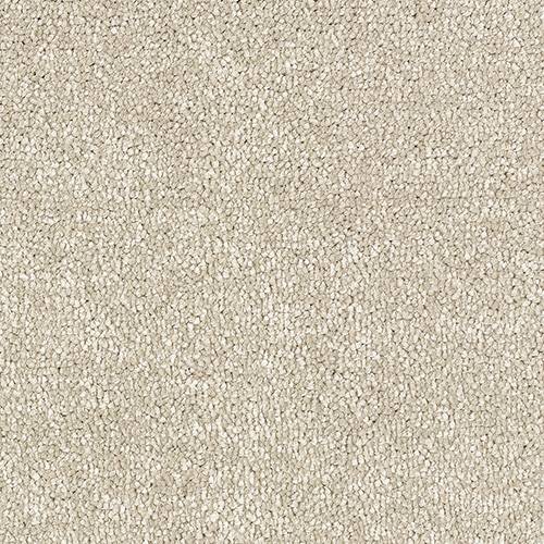 Stainfree Satin Touch | 16 Colour Options