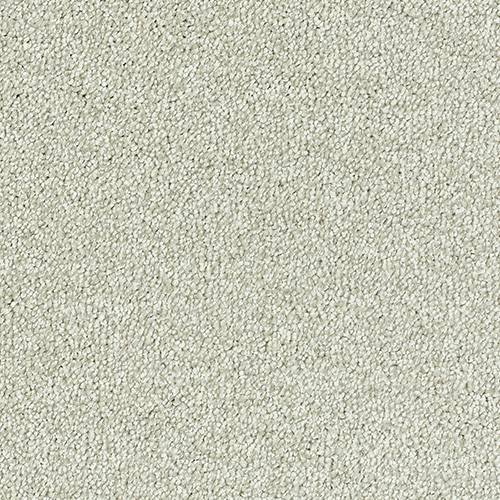 Stainfree Sophisticat | 16 Colour Options