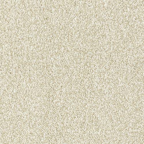 Stainfree Maximus | 16 Colour Options