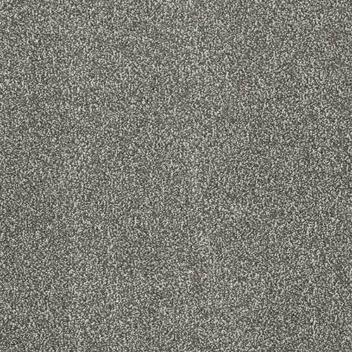 Stainfree Aristocat | 17 Colour Options