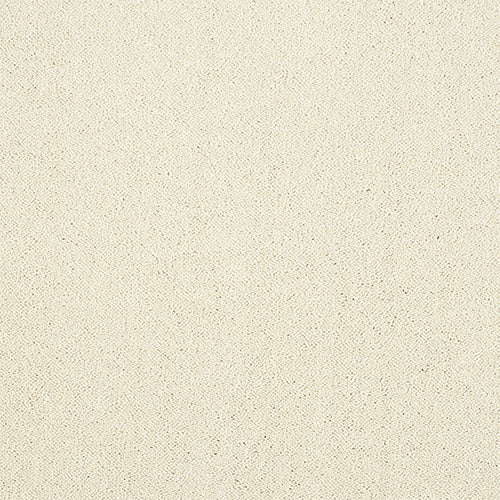 Stainfree Captivation | 17 Colour Options