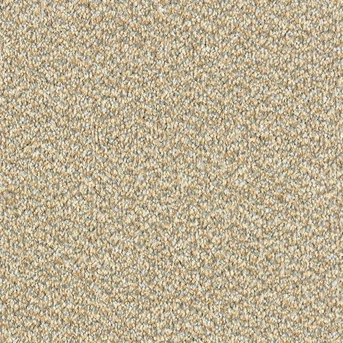Stainfree Tweed | 20 Colour Options
