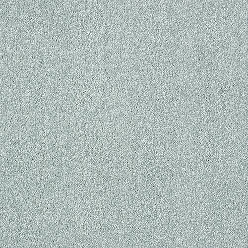 Stainfree Aristocat | 17 Colour Options