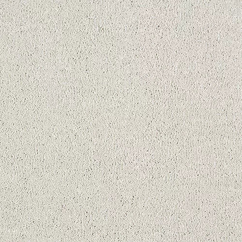 Stainfree Indulgence | 15 Colour Options