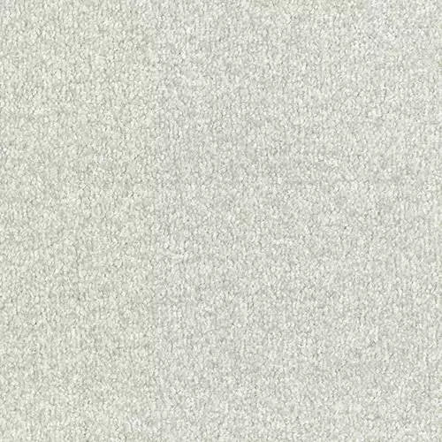 Stainfree Arena | 15 Colours Available