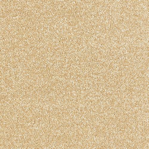 Stainfree Arena | 15 Colours Available