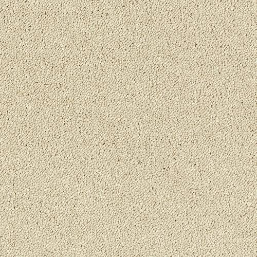 Stainfree Sophisticat | 16 Colour Options