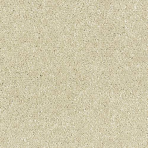 Stainfree Satin Touch | 16 Colour Options