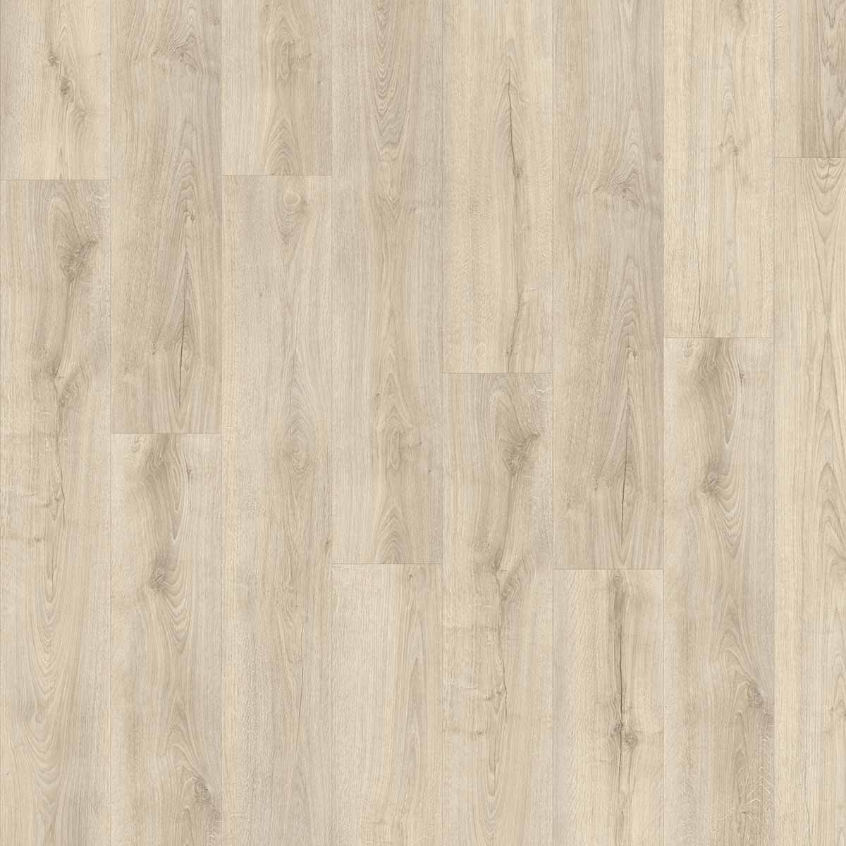 Hollister Oak