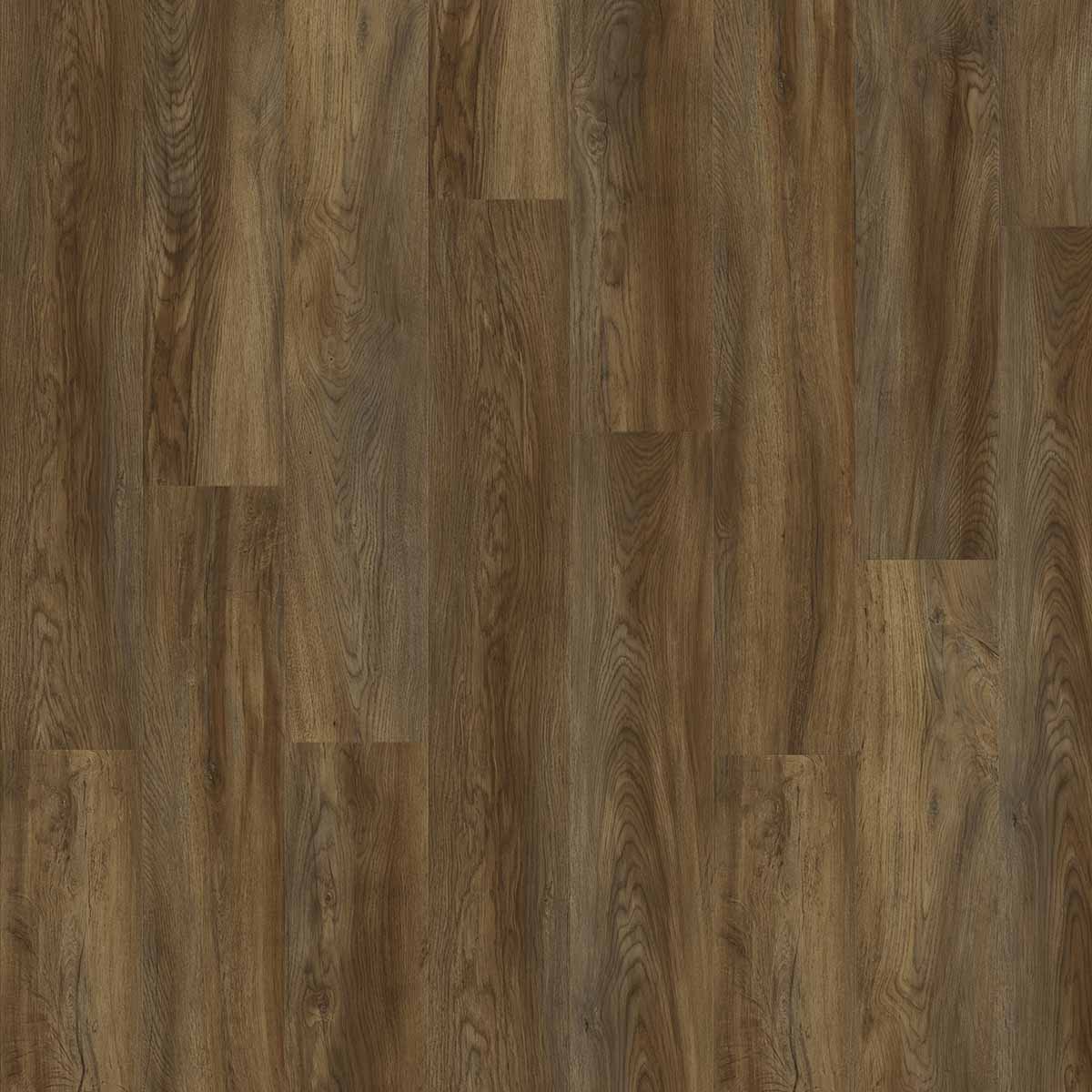 Truckee Oak
