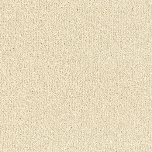 Stainfree Arena | 15 Colours Available