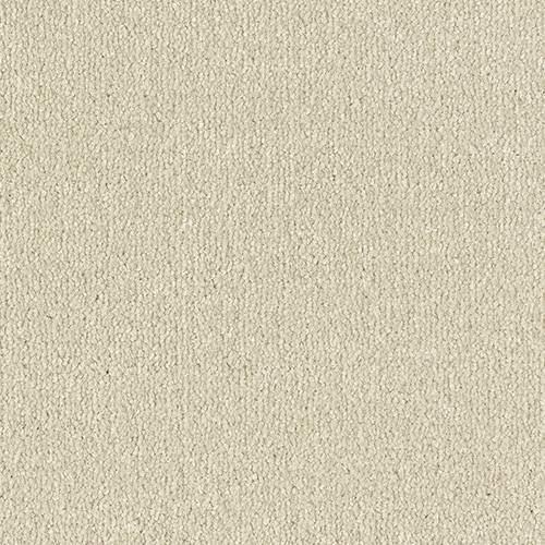 Stainfree Arena | 15 Colours Available