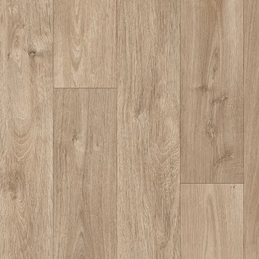 Encanto | 14 Options Available