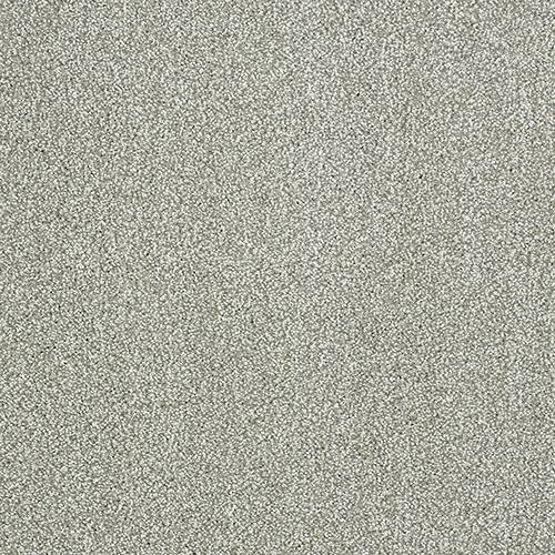 Stainfree Aristocat | 17 Colour Options