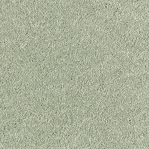 Stainfree Olympus | 12 Colour Options