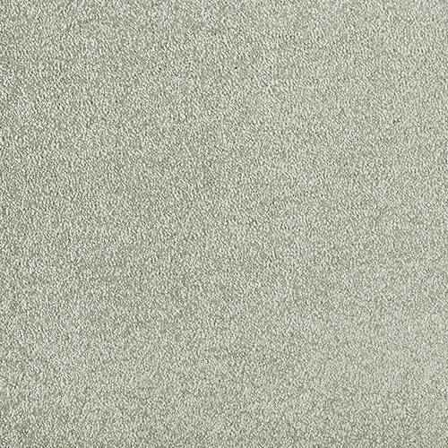 Stainfree Aristocat | 17 Colour Options