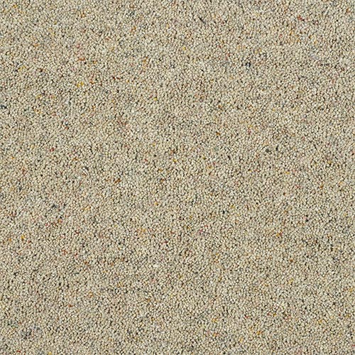 Wilton Royal Charter Berber Deluxe | 20  Colour Options