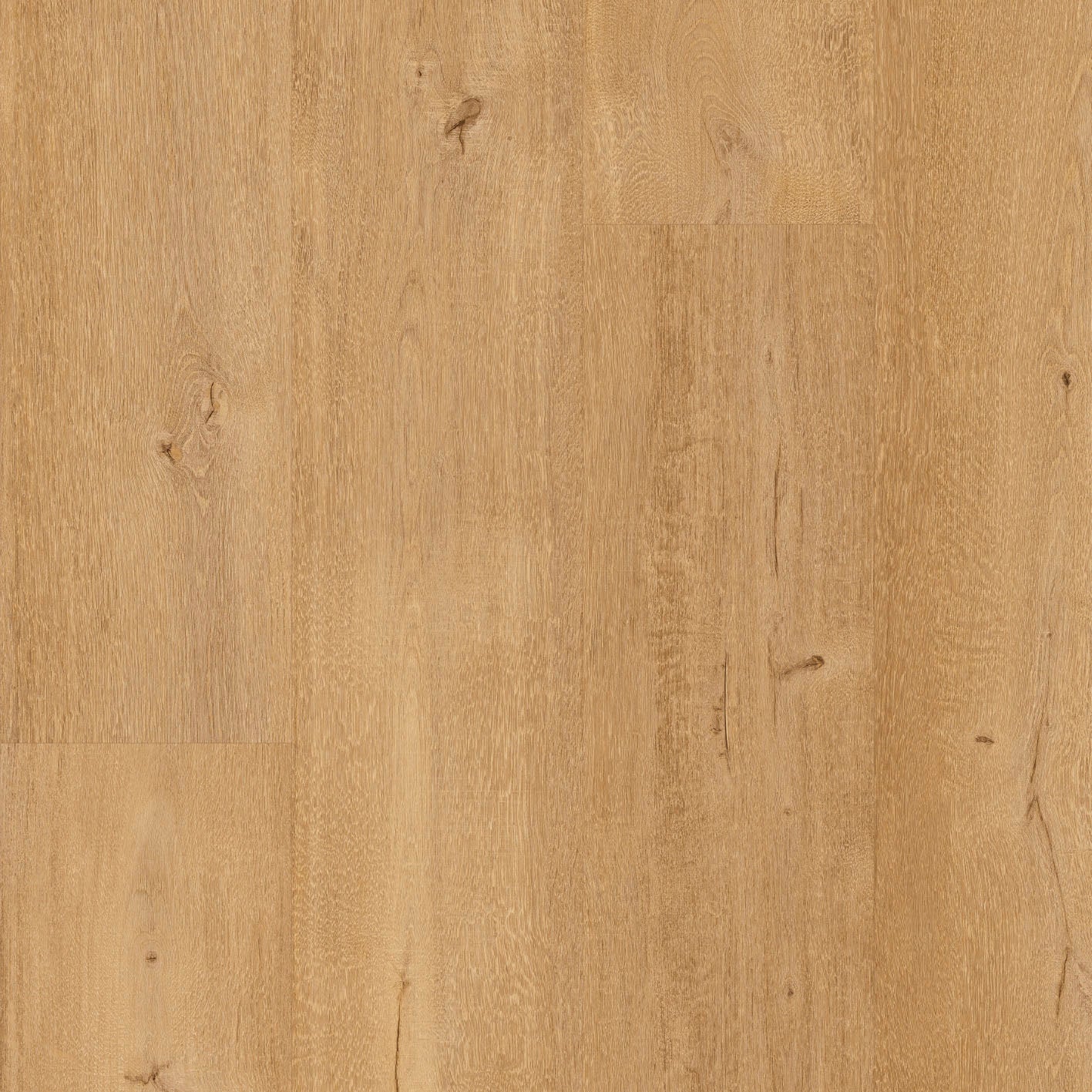 Floorify Rigid Core XL Planks | 11 Options Available