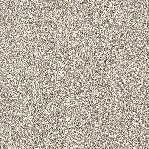 Stainfree Aristocat | 17 Colour Options