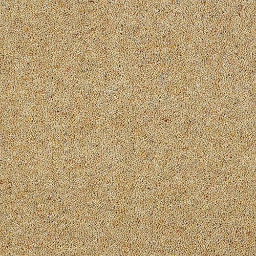 Wilton Royal Charter Berber Deluxe | 20  Colour Options