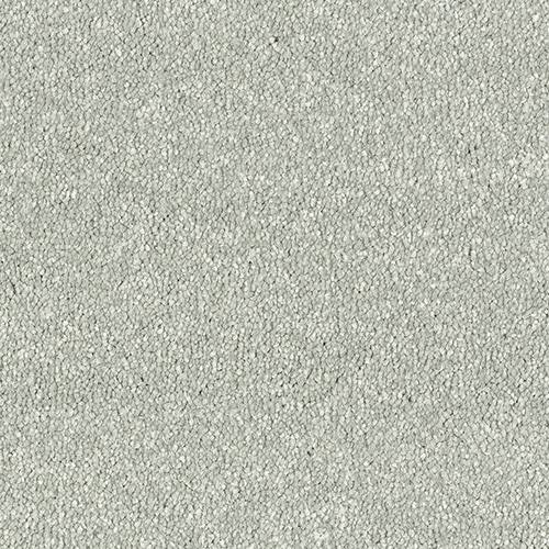 Stainfree Maximus | 16 Colour Options