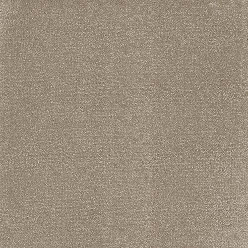 Inspiration | 16 Colours Available