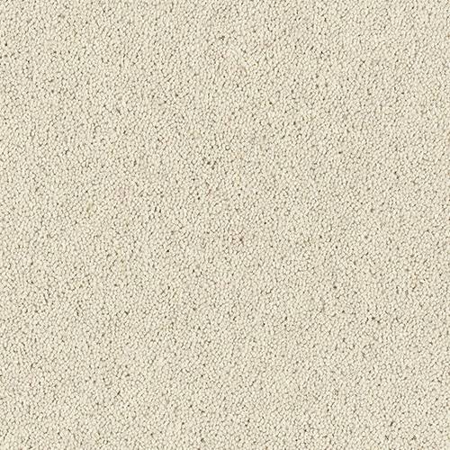 Wilton Royal Charter Deluxe | 22  Colour Options