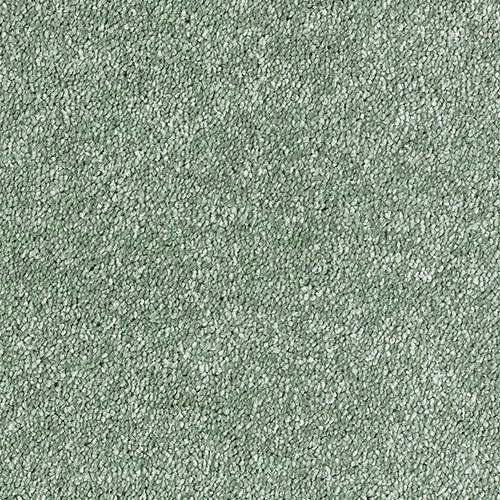 Stainfree Sophisticat | 16 Colour Options