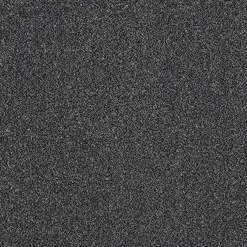 Stainfree Aristocat | 17 Colour Options