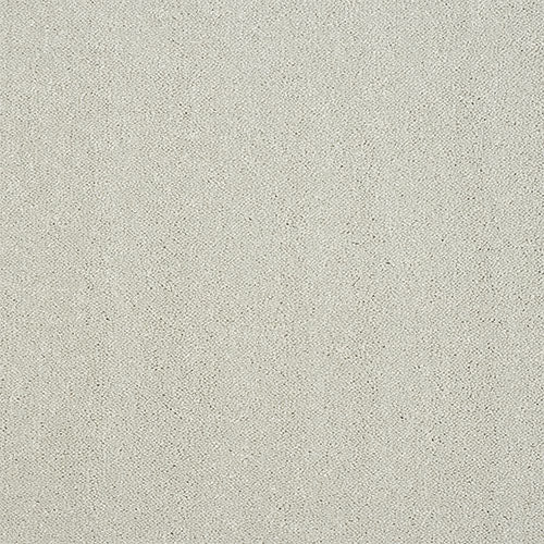 Stainfree Captivation | 17 Colour Options