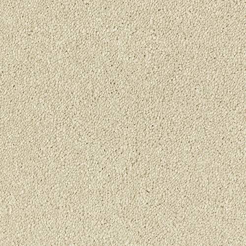 Stainfree Olympus | 12 Colour Options