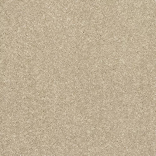 Stainfree Caress | 18 Colour Options