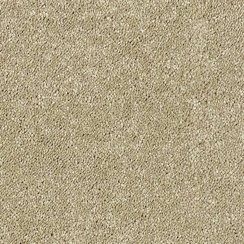 Stainfree Sophisticat | 16 Colour Options