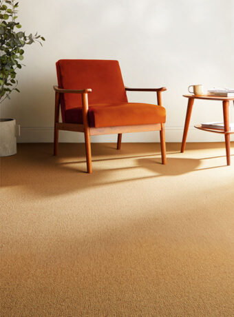 Barrington Loop Carpet | 12 Colours Available