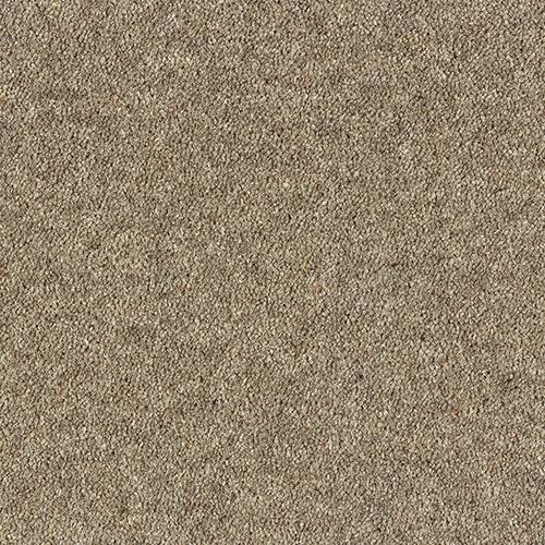 Wilton Royal Balmoral Deluxe | 10  Colour Options