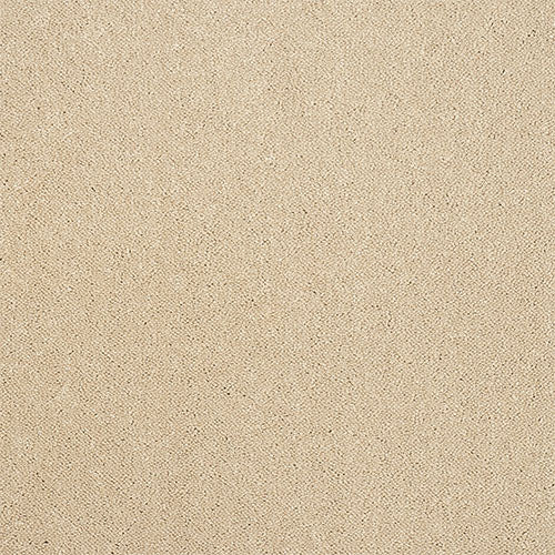 Stainfree Captivation | 17 Colour Options