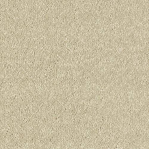 Stainfree Maximus | 16 Colour Options