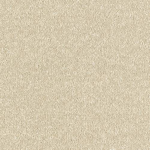 Stainfree Twist | 20 Colour Options