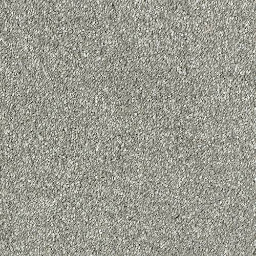 Stainfree Olympus | 12 Colour Options