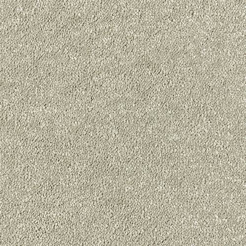 Stainfree Sophisticat | 16 Colour Options