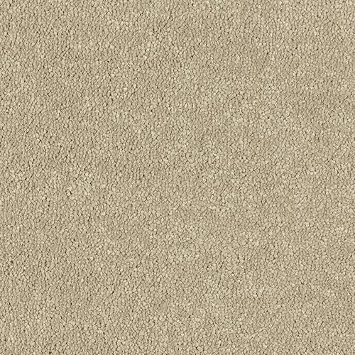 Stainfree Maximus | 16 Colour Options